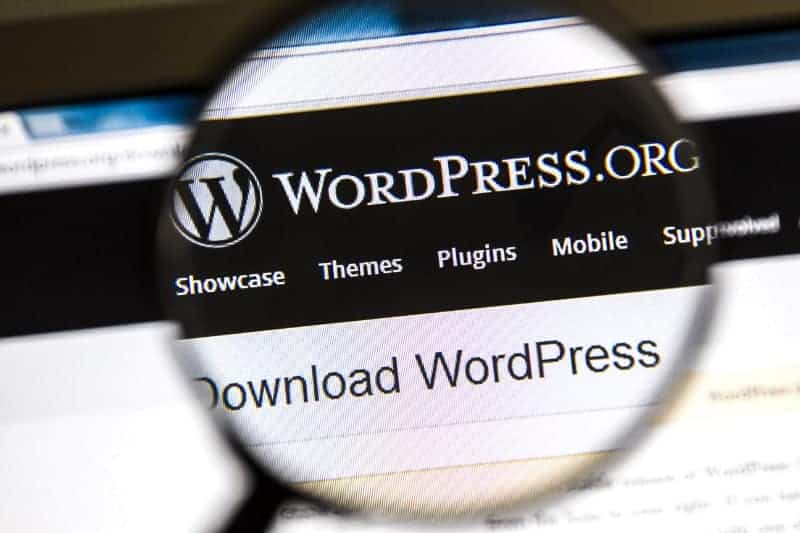 Harness Media Wordpress Screenshot With Magnifying Glass On Wp Logo